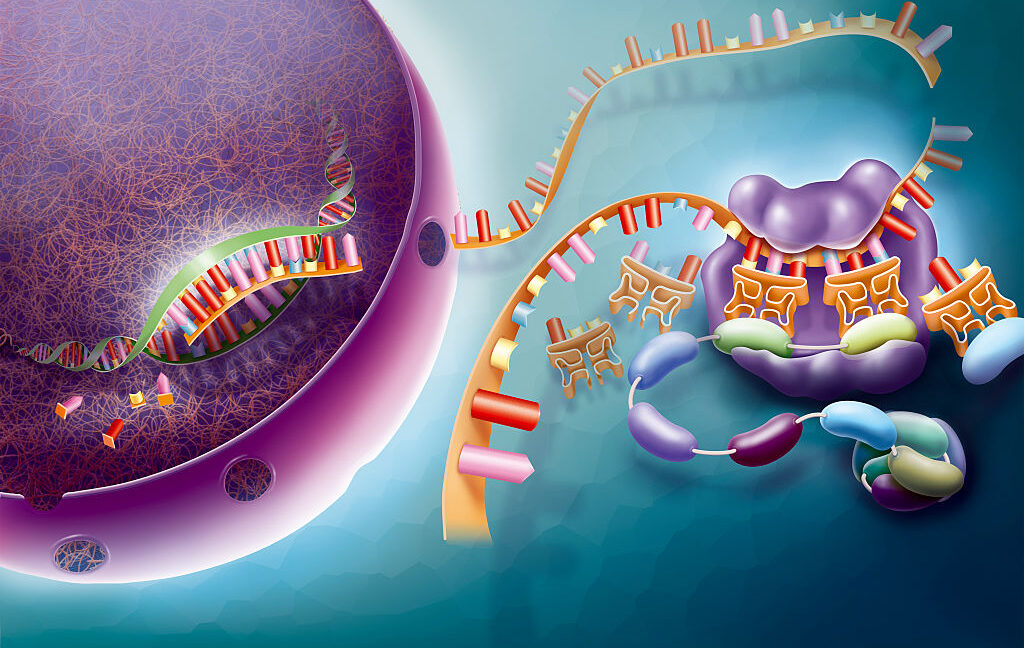 Nghiên cứu mới: Công cụ AI gặp khó khi dự đoán hoạt động gene trong sinh học